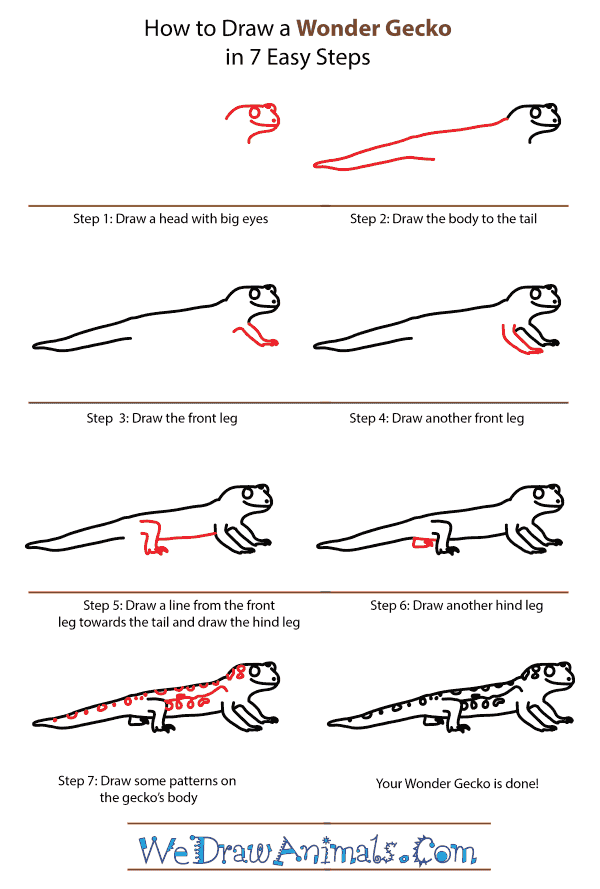 How to Draw a Wonder Gecko - Step-by-Step Tutorial