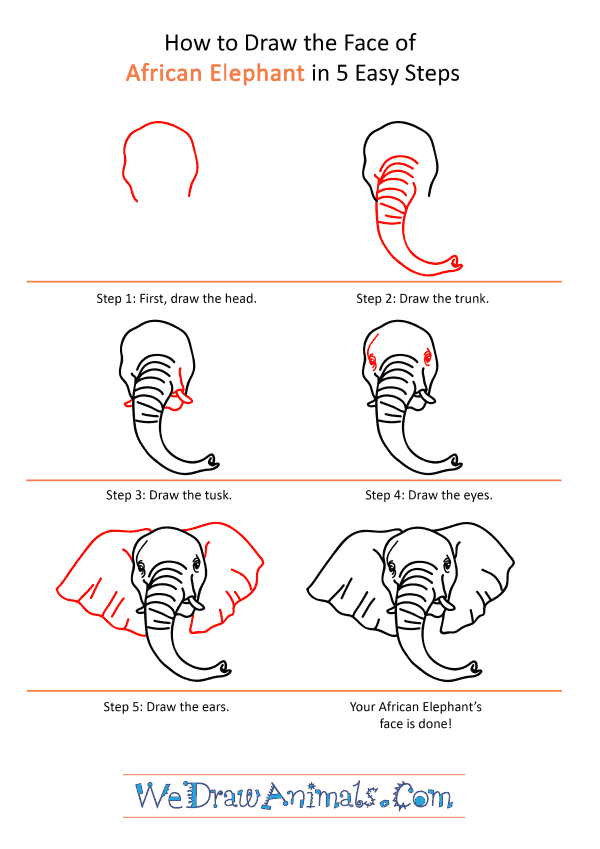 How to Draw an African Elephant Face - Step-by-Step Tutorial