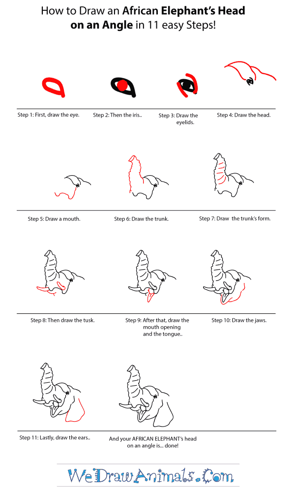 How to Draw an African Elephant Head - Step-by-Step Tutorial