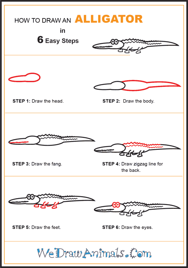 How to Draw an Alligator for Kids - Step-by-Step Tutorial