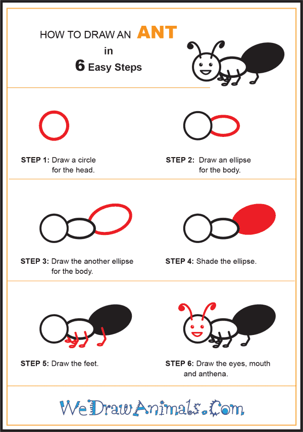 How to Draw an Ant for Kids - Step-by-Step Tutorial