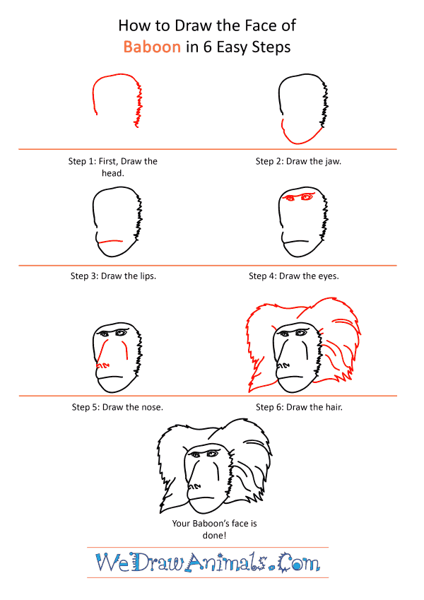 How to Draw a Baboon Face - Step-by-Step Tutorial