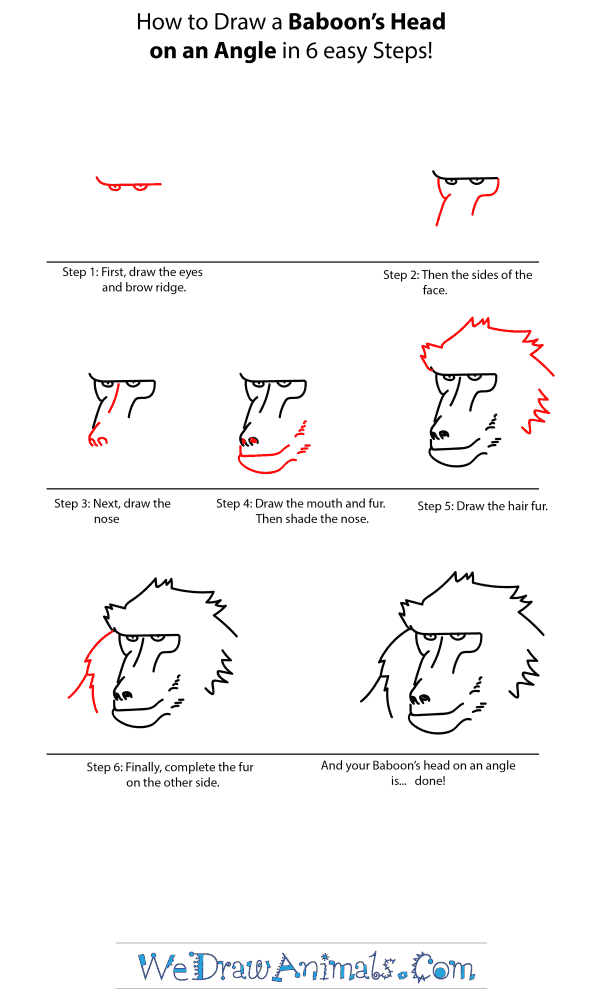 How to Draw a Baboon Head - Step-by-Step Tutorial