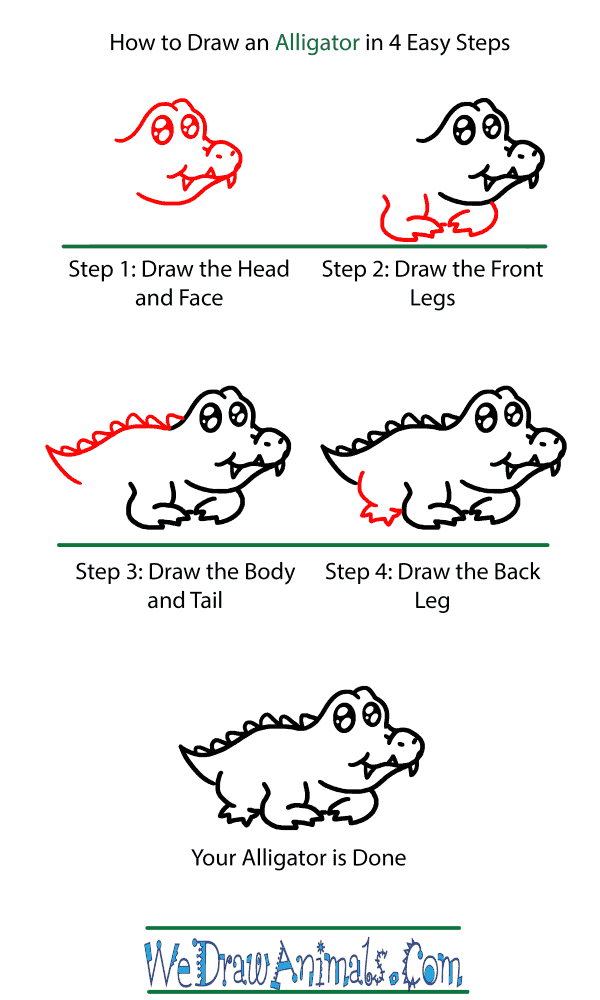How to Draw a Baby Alligator - Step-by-Step Tutorial
