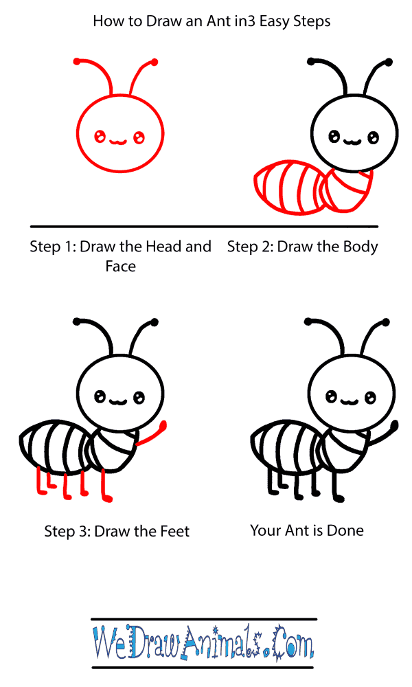 How to Draw a Baby Ant - Step-by-Step Tutorial