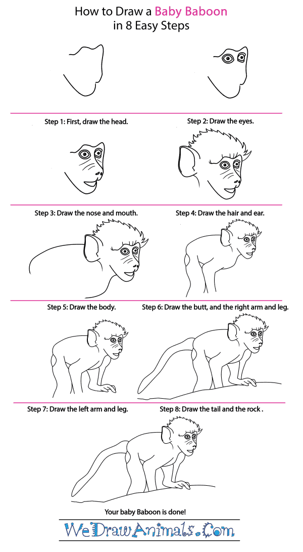 How to Draw a Baby Baboon - Step-by-Step Tutorial