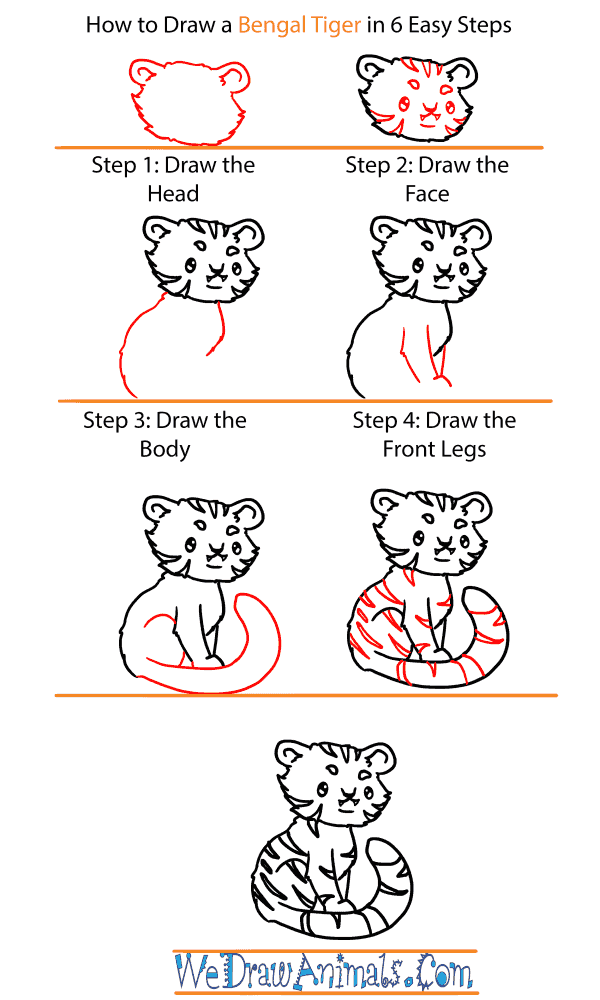 How to Draw a Baby Bengal Tiger - Step-by-Step Tutorial