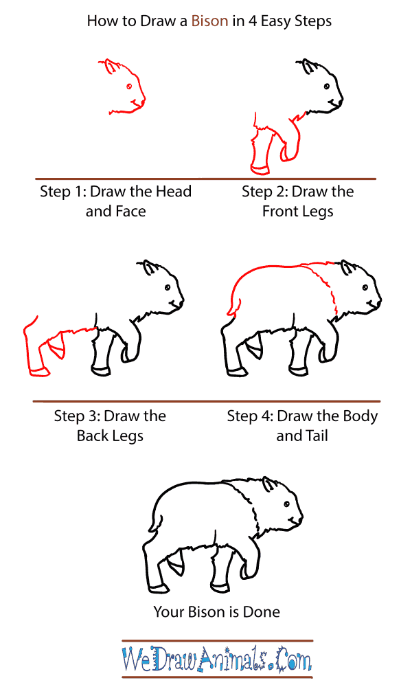 How to Draw a Baby Bison - Step-by-Step Tutorial