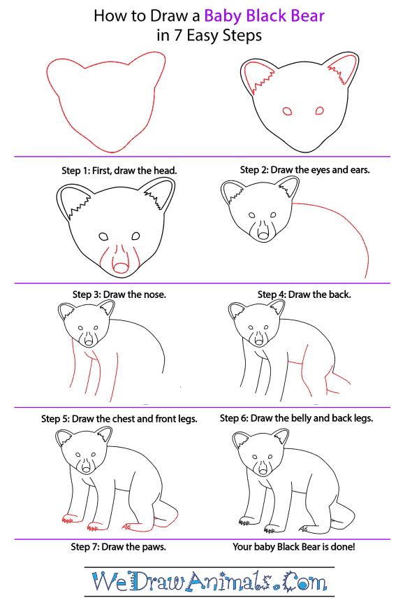 How to Draw a Baby Black Bear - Step-by-Step Tutorial