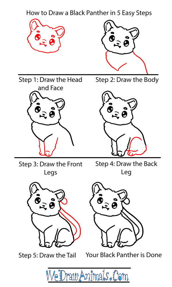 How to Draw a Baby Black Panther - Step-by-Step Tutorial