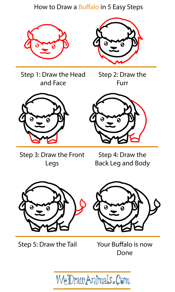 How to Draw a Baby Buffalo - Step-by-Step Tutorial