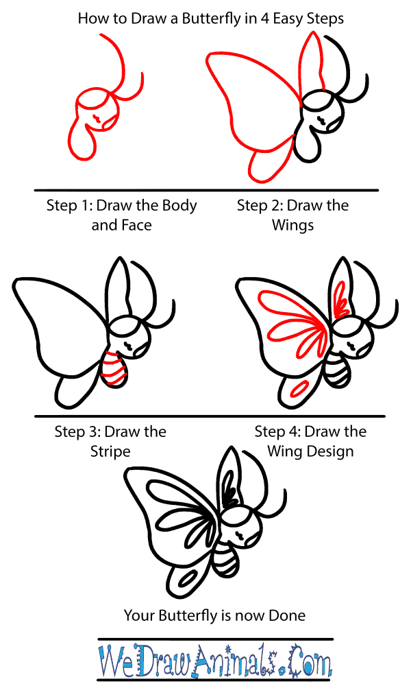 How to Draw a Baby Butterfly - Step-by-Step Tutorial
