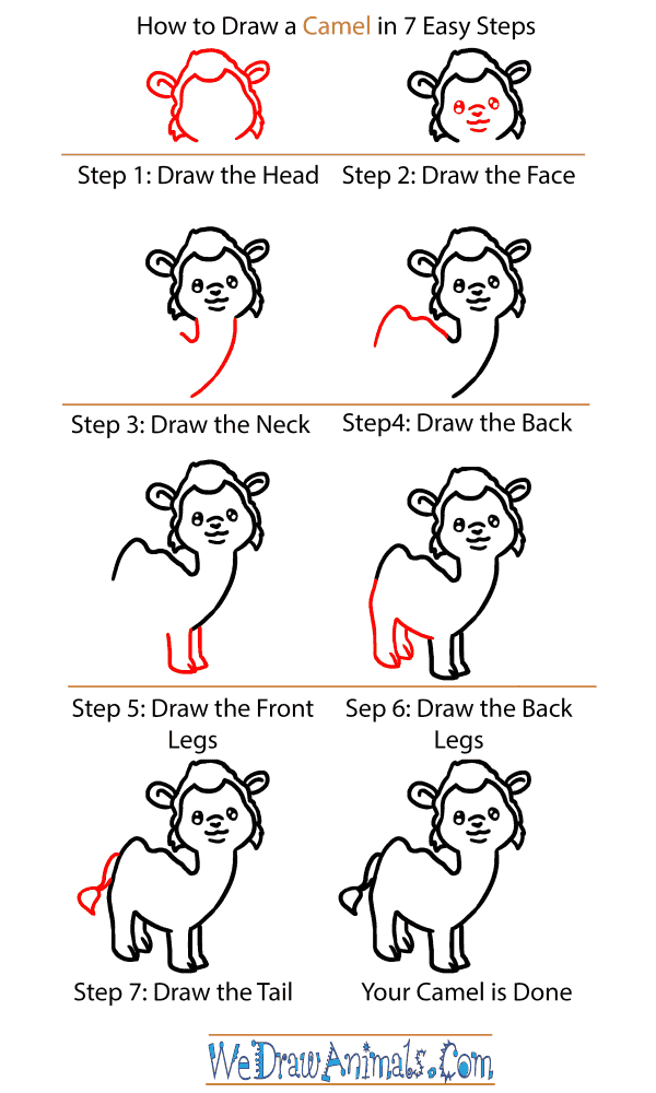 How to Draw a Baby Camel - Step-by-Step Tutorial