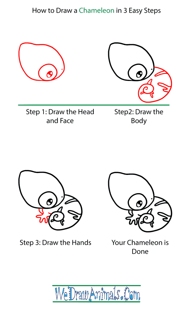 How to Draw a Baby Chameleon - Step-by-Step Tutorial