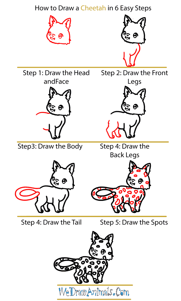 How to Draw a Baby Cheetah - Step-by-Step Tutorial