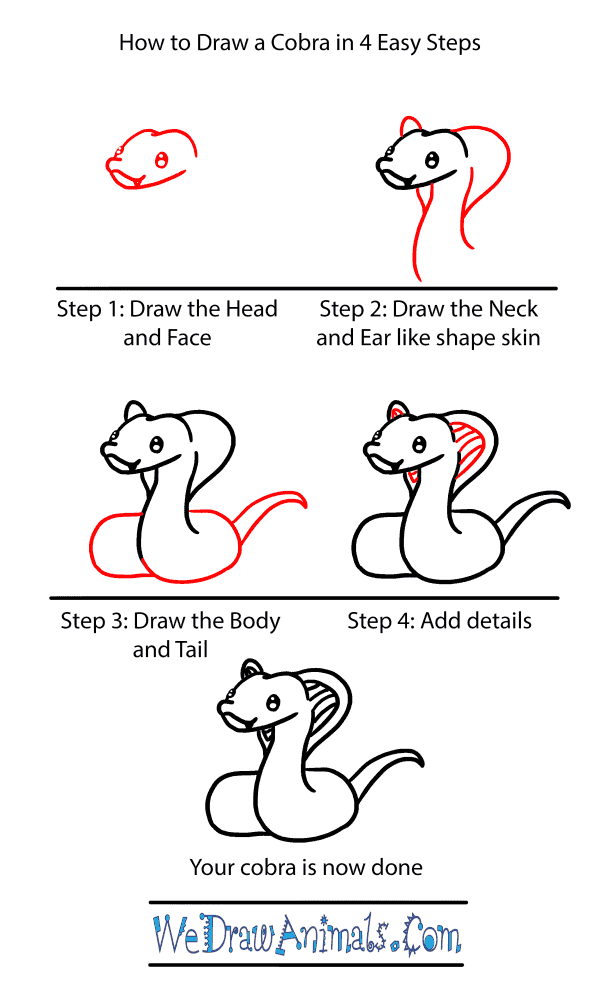 How to Draw a Baby Cobra - Step-by-Step Tutorial