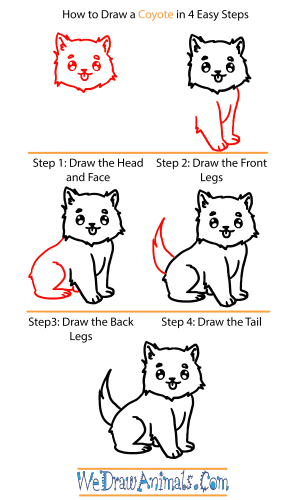 How to Draw a Baby Coyote - Step-by-Step Tutorial
