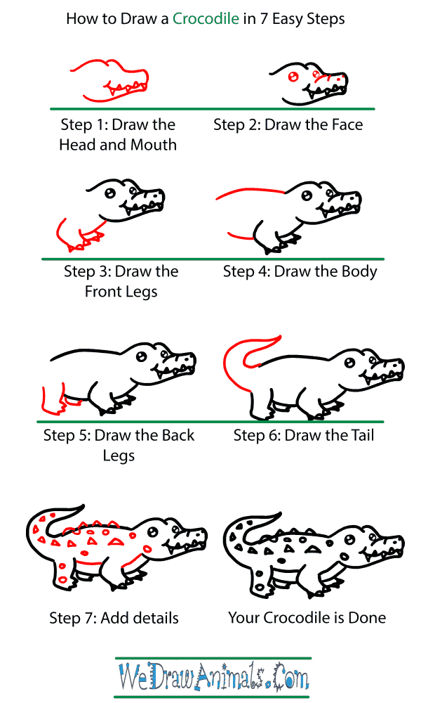 How to Draw a Baby Crocodile - Step-by-Step Tutorial