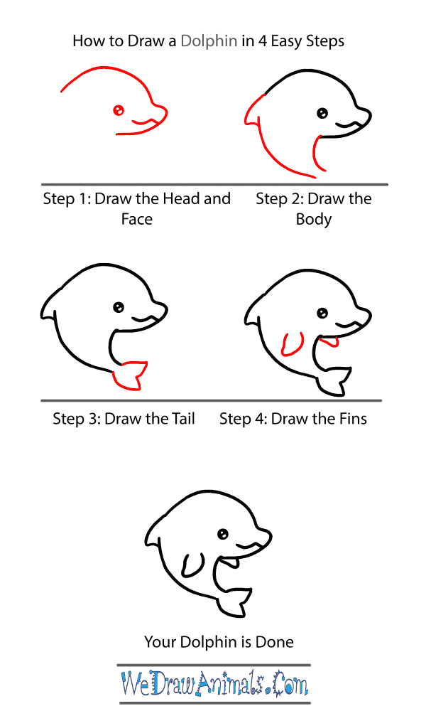 How to Draw a Baby Dolphin - Step-by-Step Tutorial