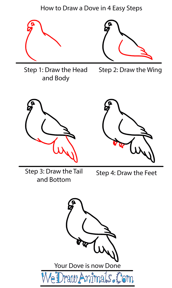How to Draw a Baby Dove - Step-by-Step Tutorial