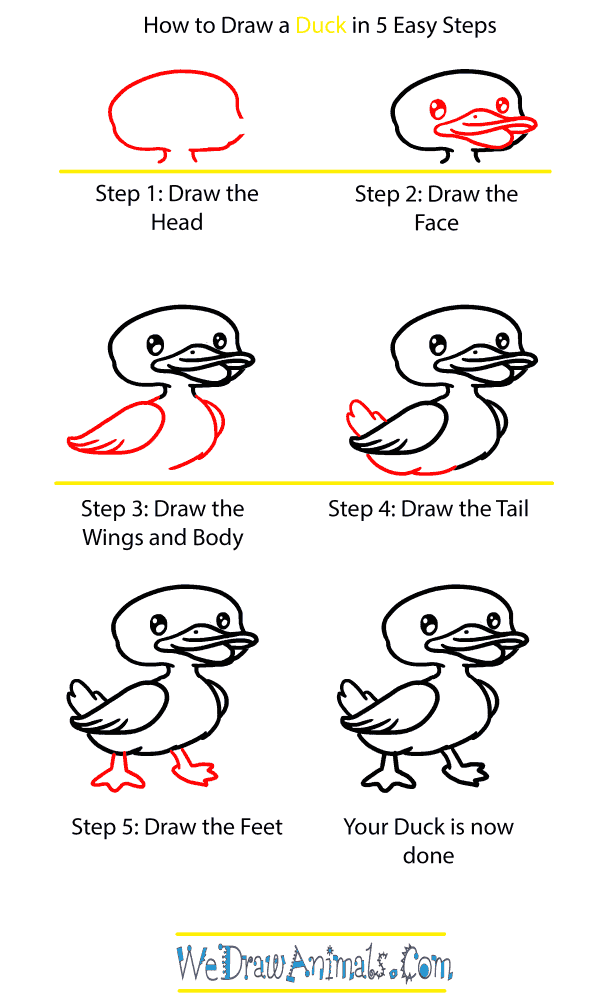 How to Draw a Baby Duck - Step-by-Step Tutorial