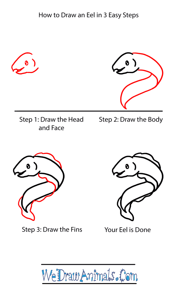 How to Draw a Baby Eel - Step-by-Step Tutorial