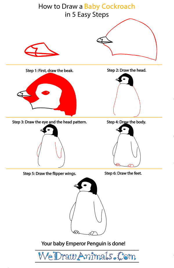 How to Draw a Baby Emperor Penguin - Step-by-Step Tutorial