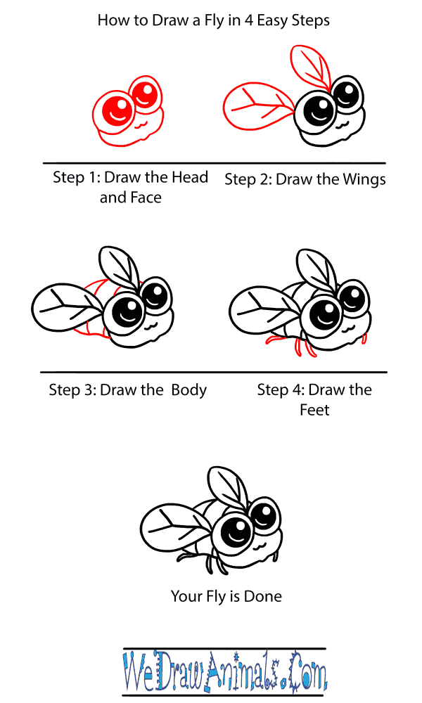 How to Draw a Baby Fly - Step-by-Step Tutorial