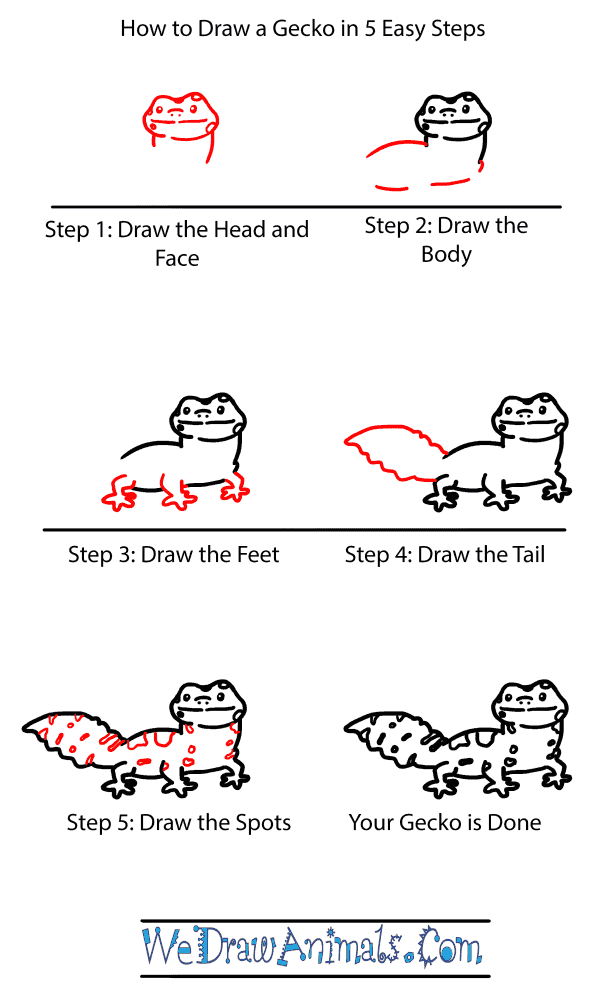 How to Draw a Baby Gecko - Step-by-Step Tutorial