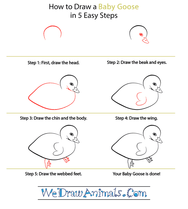 How to Draw a Baby Goose - Step-by-Step Tutorial