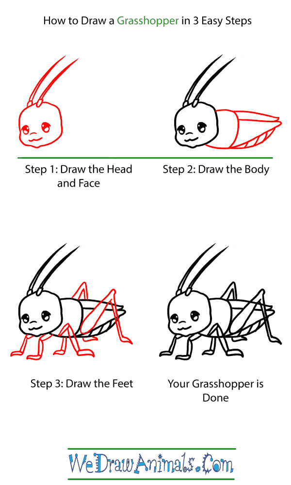 How to Draw a Baby Grasshopper - Step-by-Step Tutorial