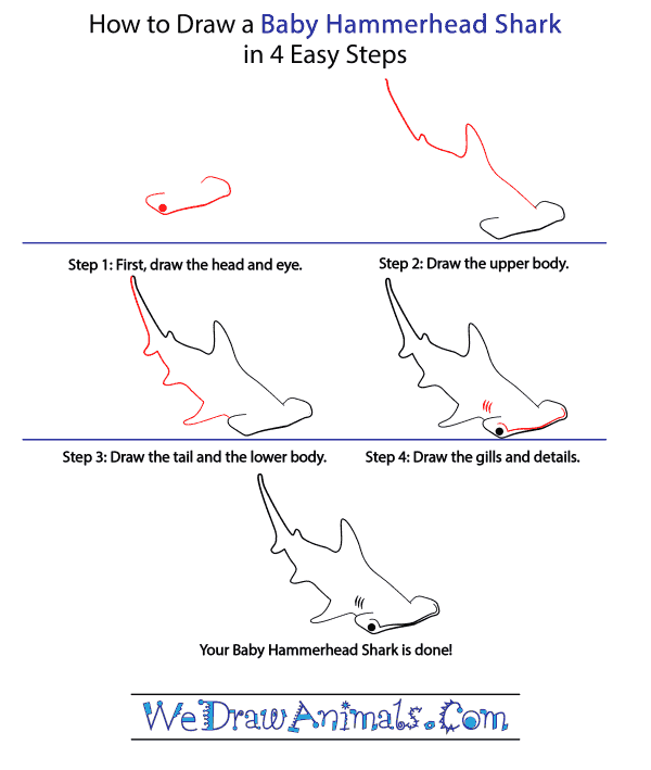 How to Draw a Baby Hammerhead Shark - Step-by-Step Tutorial