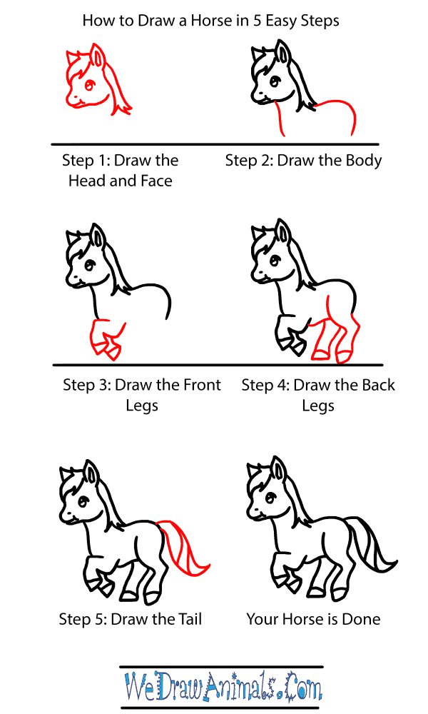 How to Draw a Baby Horse - Step-by-Step Tutorial