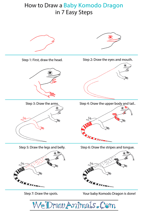How to Draw a Baby Komodo Dragon - Step-by-Step Tutorial