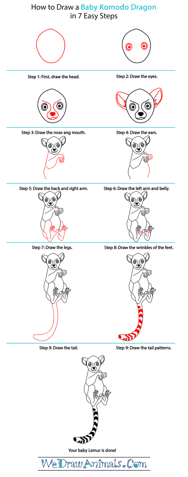 How to Draw a Baby Lemur - Step-by-Step Tutorial