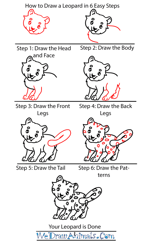 How to Draw a Baby Leopard - Step-by-Step Tutorial