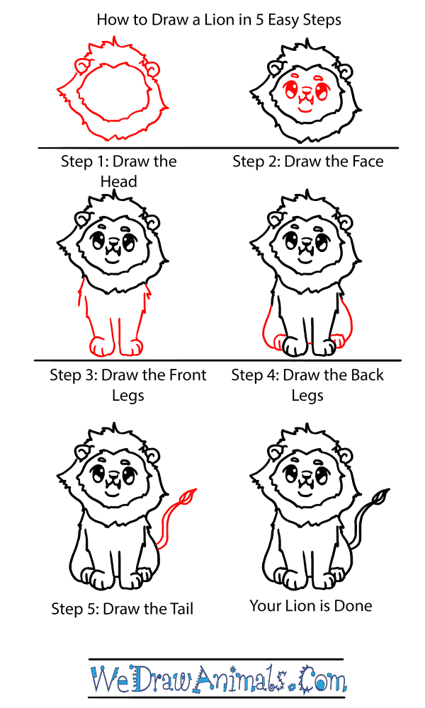 How to Draw a Baby Lion - Step-by-Step Tutorial