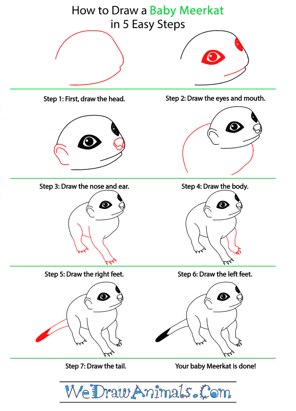 How to Draw a Baby Meerkat - Step-by-Step Tutorial