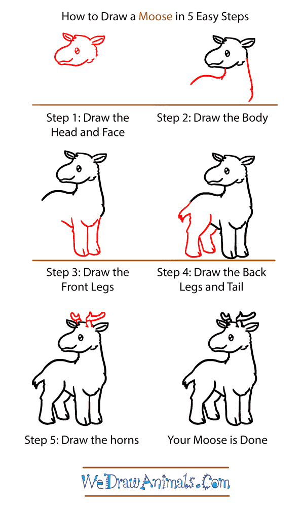 How to Draw a Baby Moose - Step-by-Step Tutorial