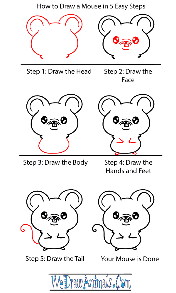 How to Draw a Baby Mouse - Step-by-Step Tutorial