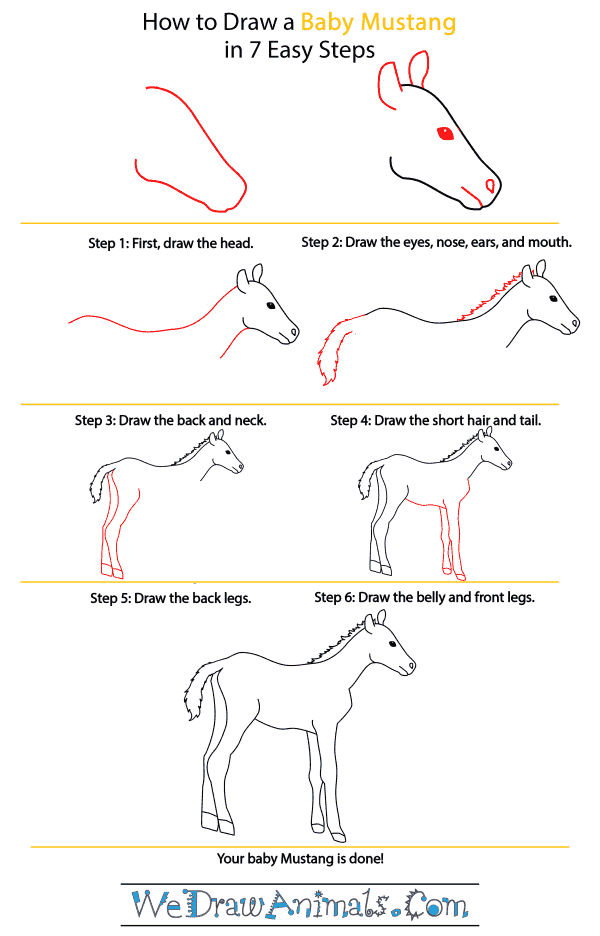 How to Draw a Baby Mustang Horse - Step-by-Step Tutorial