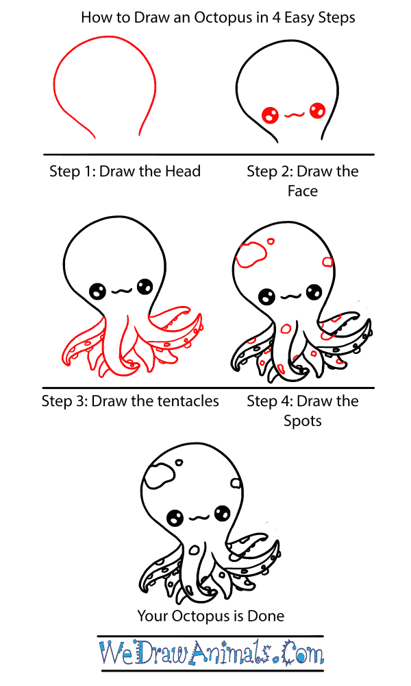 How to Draw a Baby Octopus - Step-by-Step Tutorial