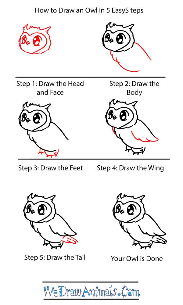 How to Draw a Baby Owl - Step-by-Step Tutorial