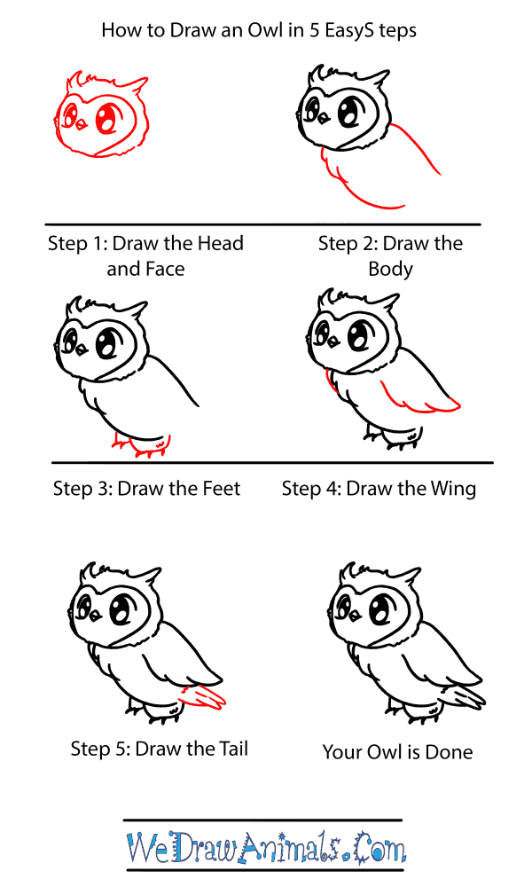 how to draw a cute baby owl