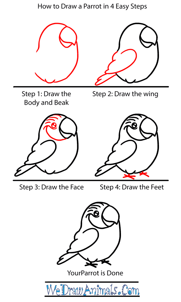 How to Draw a Baby Parrot - Step-by-Step Tutorial