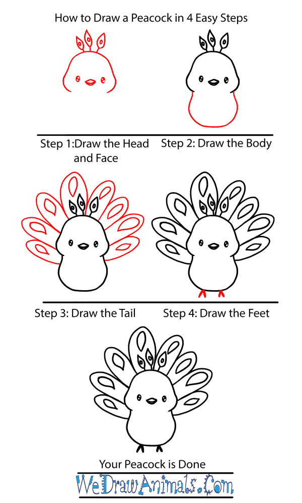 How to Draw a Baby Peacock - Step-by-Step Tutorial