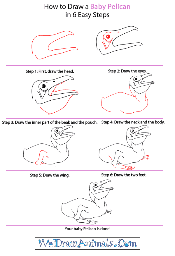 How to Draw a Baby Pelican - Step-by-Step Tutorial