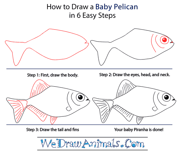 How to Draw a Baby Piranha - Step-by-Step Tutorial