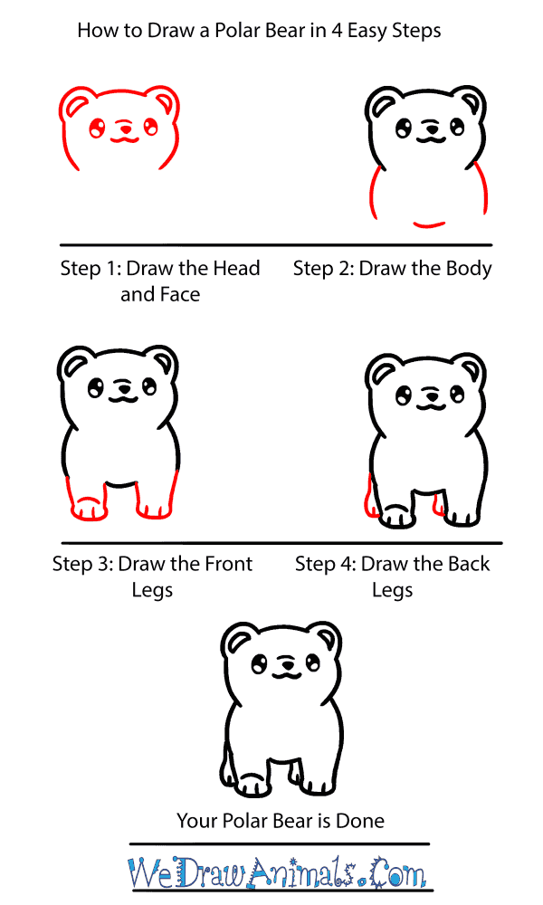 How to Draw a Baby Polar Bear - Step-by-Step Tutorial