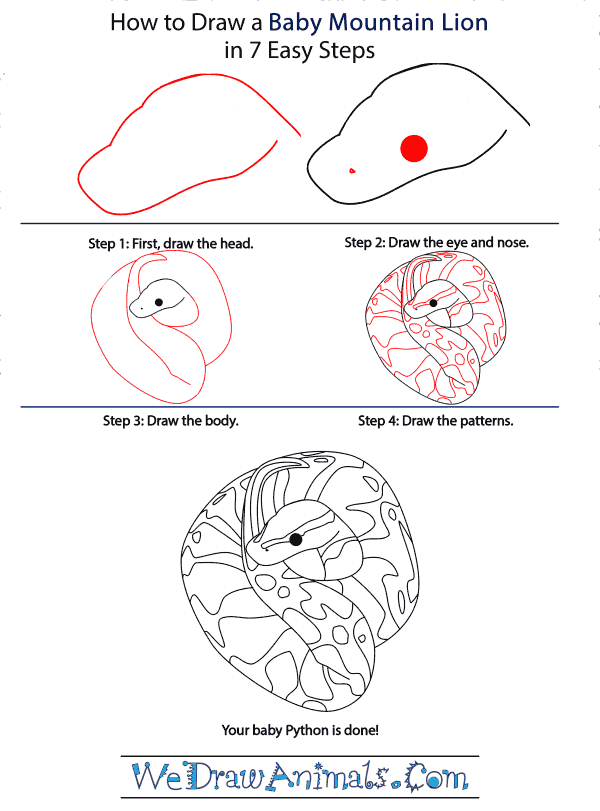 How to Draw a Baby Python - Step-by-Step Tutorial